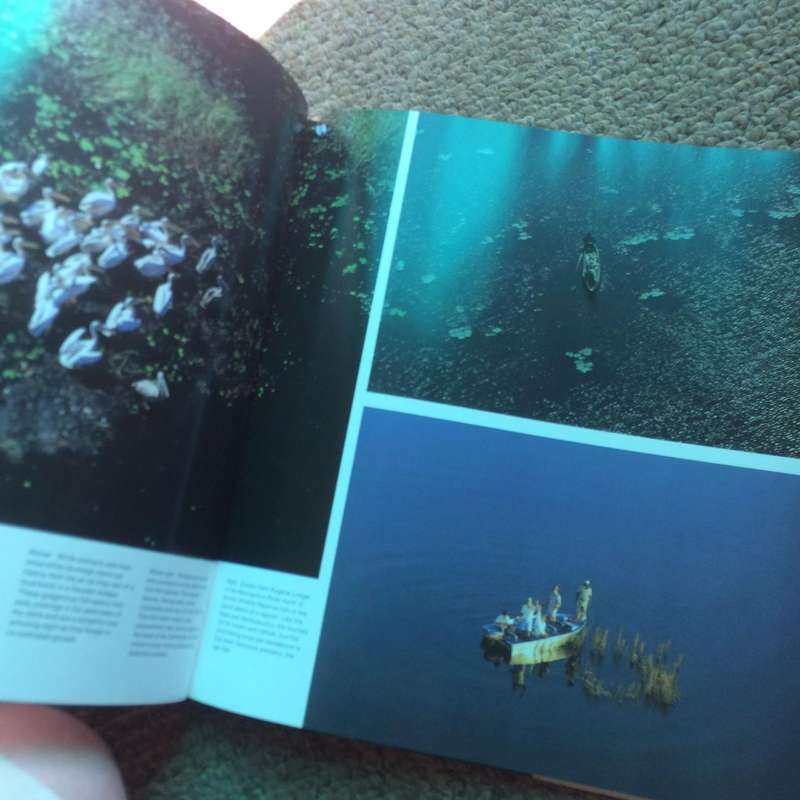 Okavango from the Air - Herman Potgieter & Clive Walker (1989 1st Edition Hardcover)