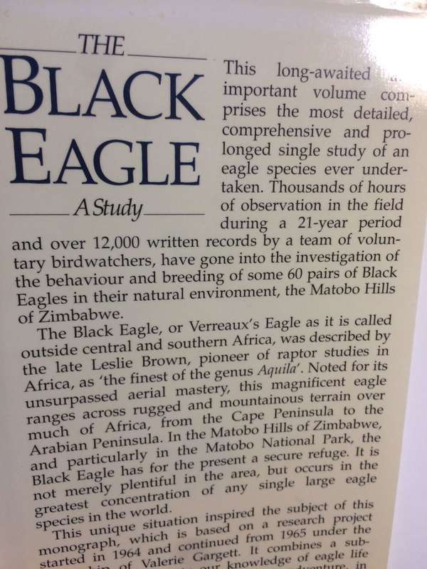 The Black Eagle: A Study - Valerie Gargett (1990 1st Edition Hardcover)