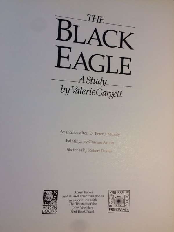 The Black Eagle: A Study - Valerie Gargett (1990 1st Edition Hardcover)