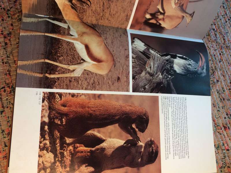 Namibia - Anthony Bannister & Peter Johnson | 1978 1st Edition | SIGNED by AUTHORS
