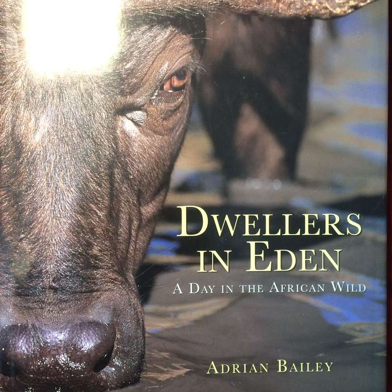 Dwellers in Eden: A Day in the African Wild - Adrian Bailey