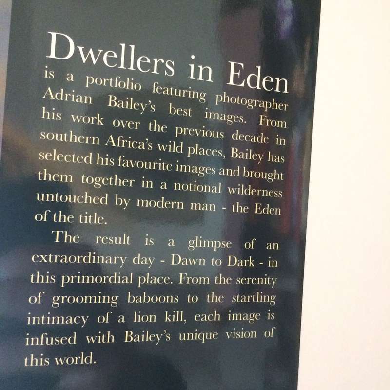Dwellers in Eden: A Day in the African Wild - Adrian Bailey