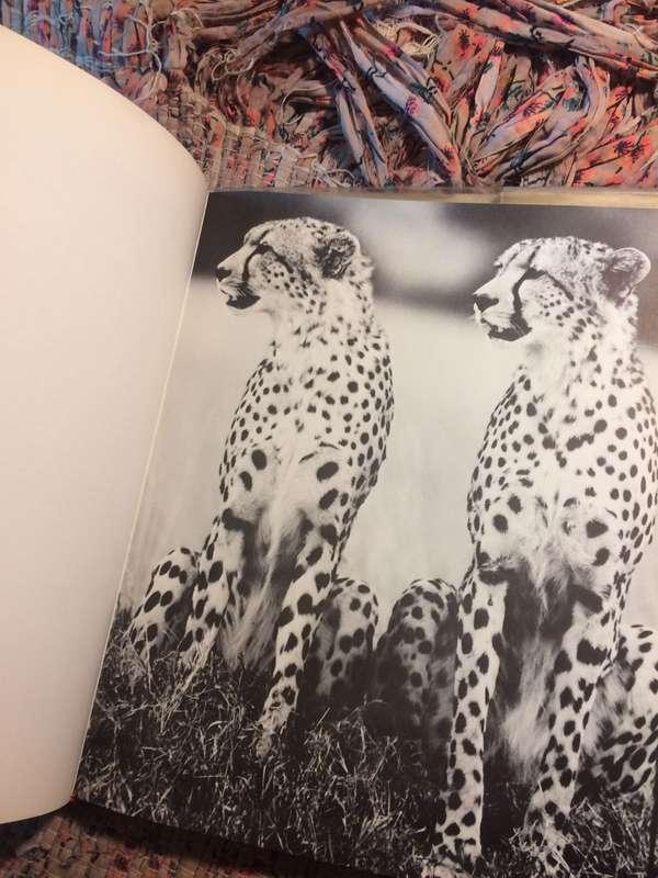 Vanishing Herds - Harshad C Patel (1973 1st Edition Large Format Hardcover) | MacMillan