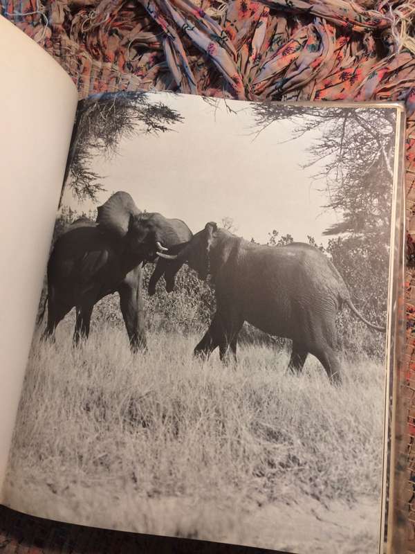 Vanishing Herds - Harshad C Patel (1973 1st Edition Large Format Hardcover) | MacMillan