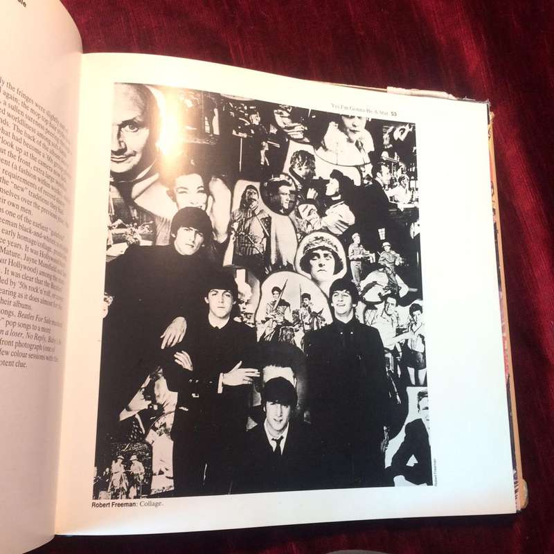 The Art of the Beatles - Mike Evans