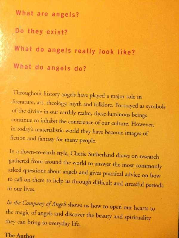 In the Company of Angels: Welcoming Angels into Your Life - Cherie Sutherland