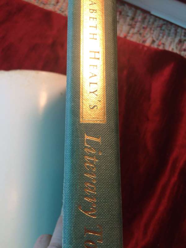 Literary Tour of Ireland - Elizabeth Healy (1995 1st Edition Hardcover)