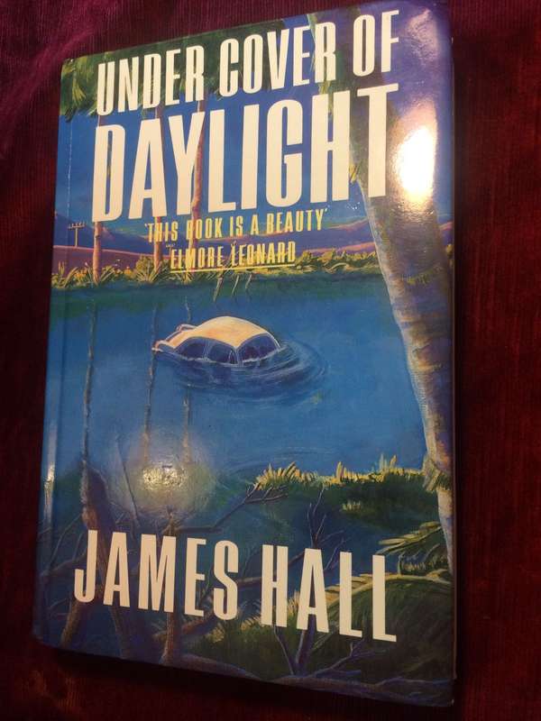 Under Cover of Daylight - James Hall (1988 1st Edition Hardcover)