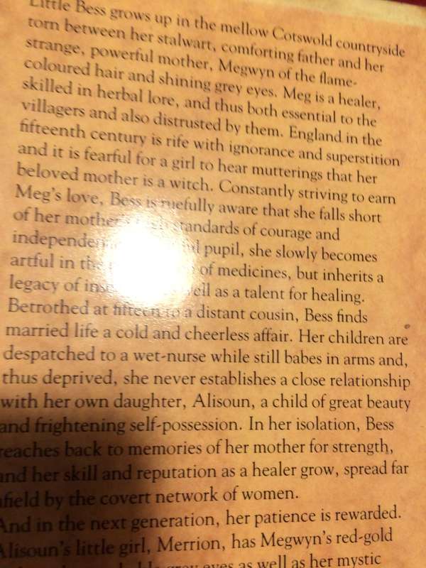 The Daughters of Megwyn - Antoinette Kelsall Bird (1987 1st Edition Hardcover)