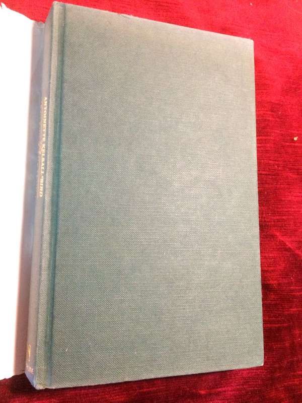 The Daughters of Megwyn - Antoinette Kelsall Bird (1987 1st Edition Hardcover)