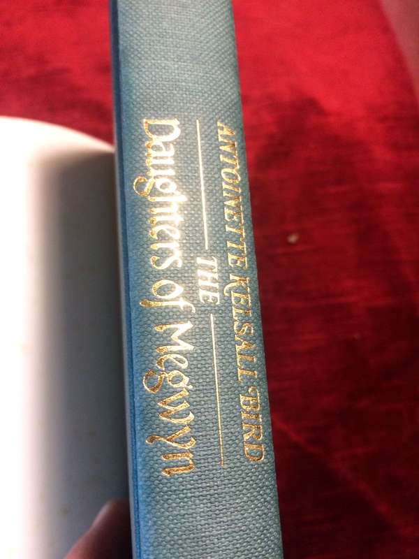 The Daughters of Megwyn - Antoinette Kelsall Bird (1987 1st Edition Hardcover)