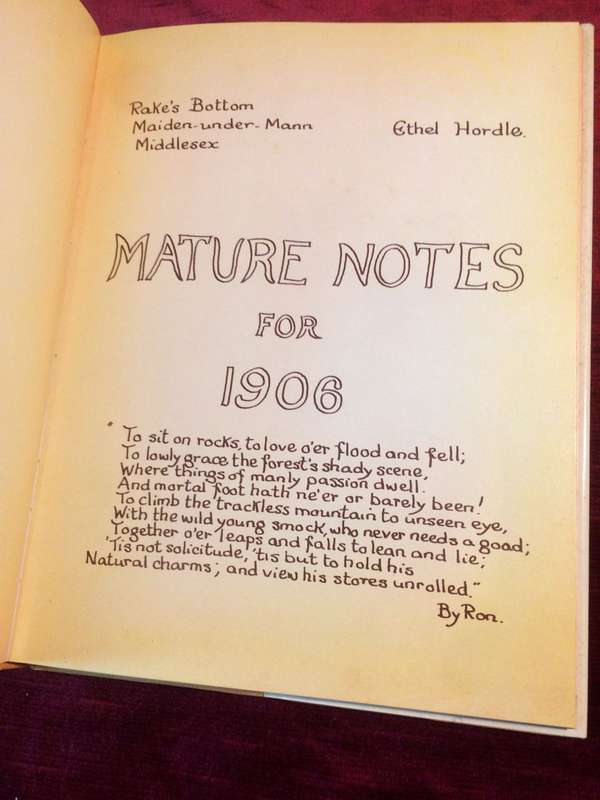 The Naughty Diary of an Edwardian Lady - Ethel Hordle (1981 1st Edition)
