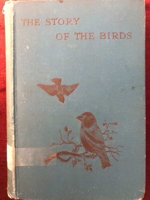 The Story of the Birds: Introduction to the Study of Ornithology - Charles Dixon (1900 1st Edition)