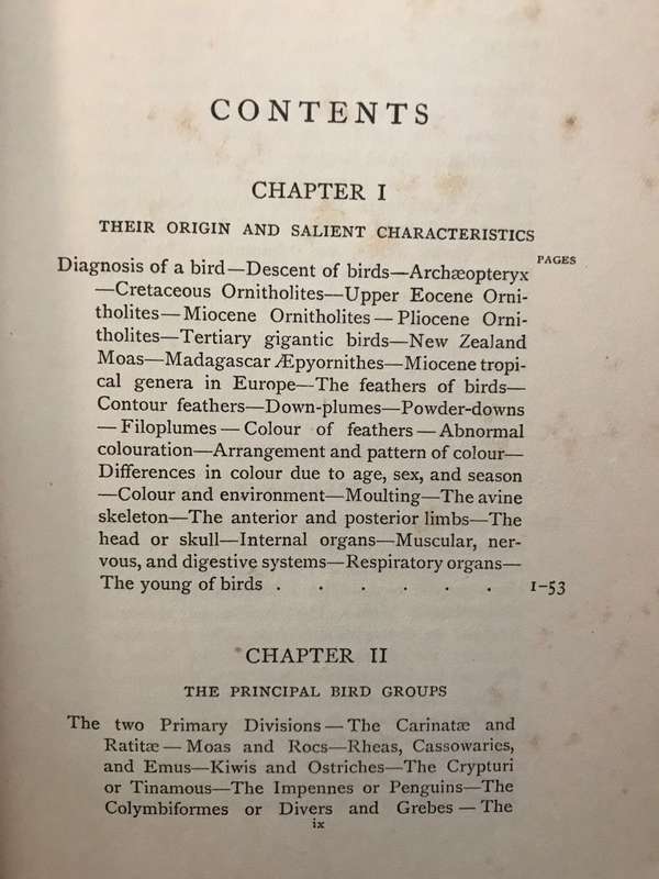 The Story of the Birds: Introduction to the Study of Ornithology - Charles Dixon (1900 1st Edition)