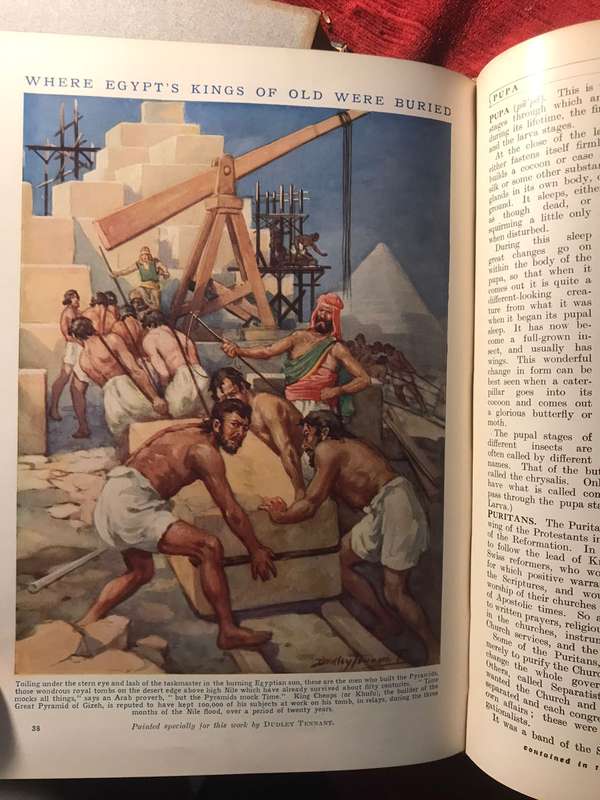 Cassell's Book of Knowledge in 8 Volumes - Published circa 1924