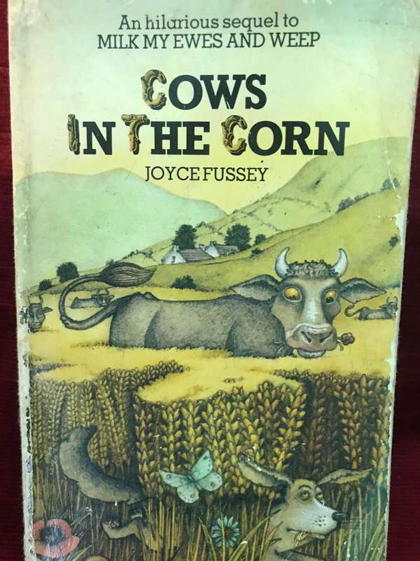 Cows in the Corn - Joyce Fussey
