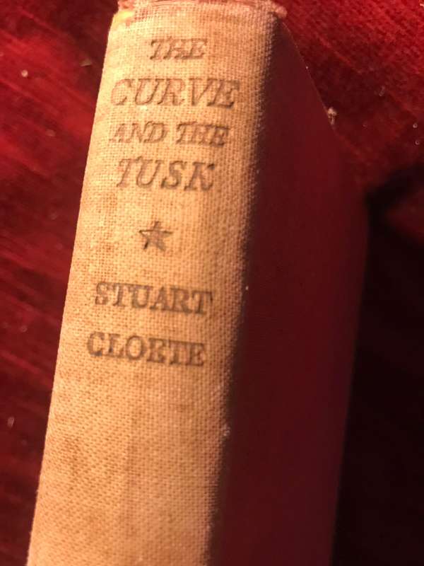 The Curve and the Tusk - Stuart Cloete (1953 1st Edition Hardcover)