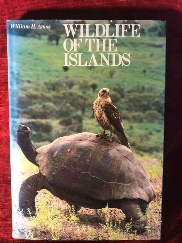 Wildlife of the Islands - William H Amos