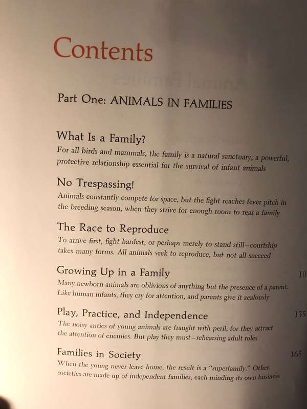 Animal Families: Marvels and Mysteries of Animal Behavior - Glen McBride & NJ Berrill