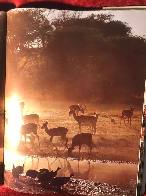 Okavango: Sea of Land, Land of Water - Peter Johnson & Anthony Bannister (1977 1st Ed Hardcover)