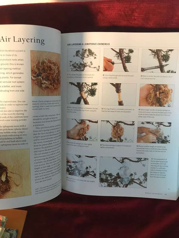 The Complete Practical Encyclopedia of Bonsai: The Essential Guide - Ken Norman