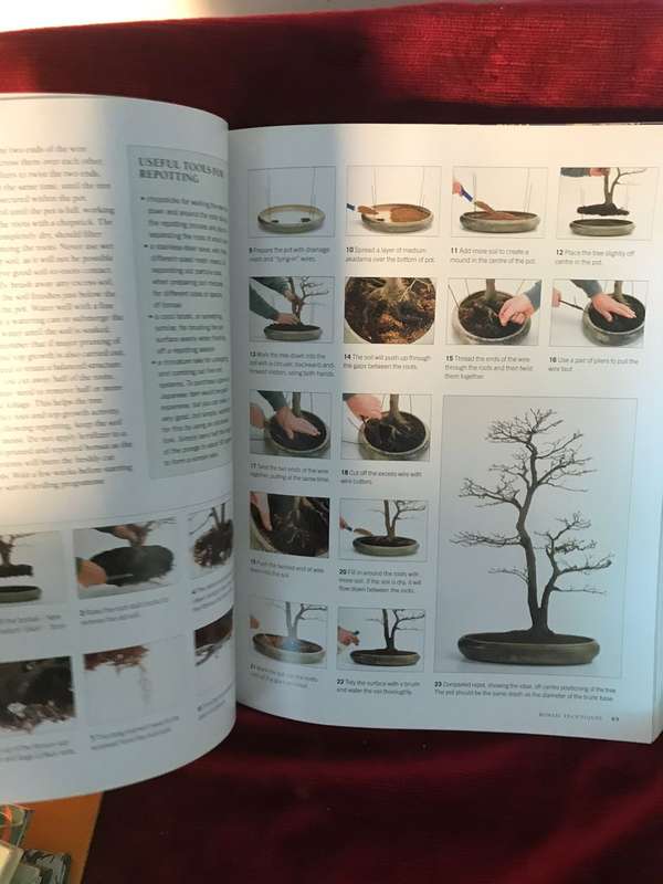 The Complete Practical Encyclopedia of Bonsai: The Essential Guide - Ken Norman