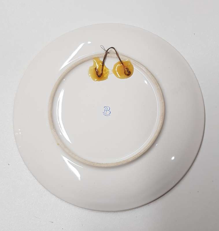 Vintage souvenir ceramic plate of Namibia by AB Ceramics. This colourful ceramic display plate