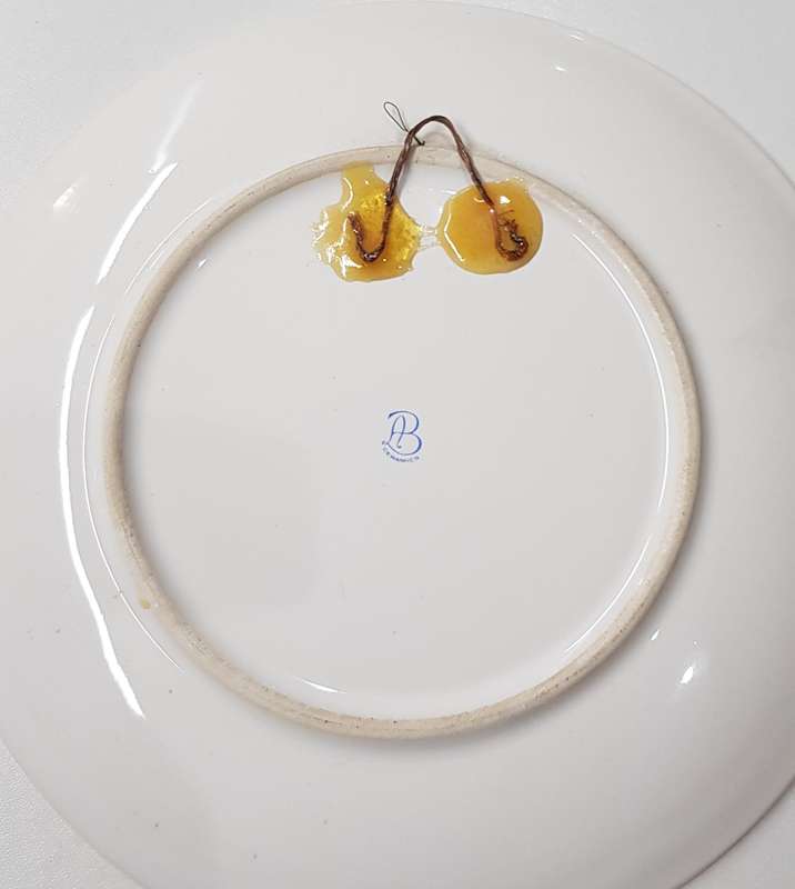 Vintage souvenir ceramic plate of Namibia by AB Ceramics. This colourful ceramic display plate
