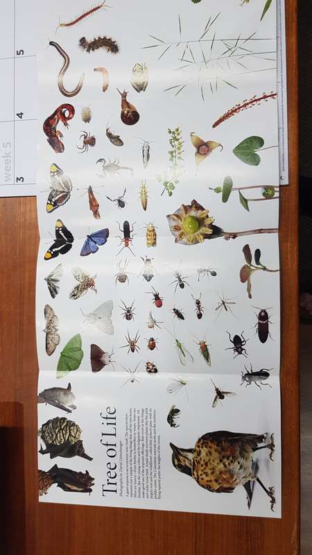 Magazines: National Geographic.  Mixed lot of Magazines.  4x Magazines - December Year 2012 -