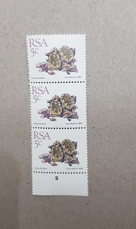 Strip of 3x fixed 1988 Lithops dorotheae RSA 5c stamp. Succulents on Stamps