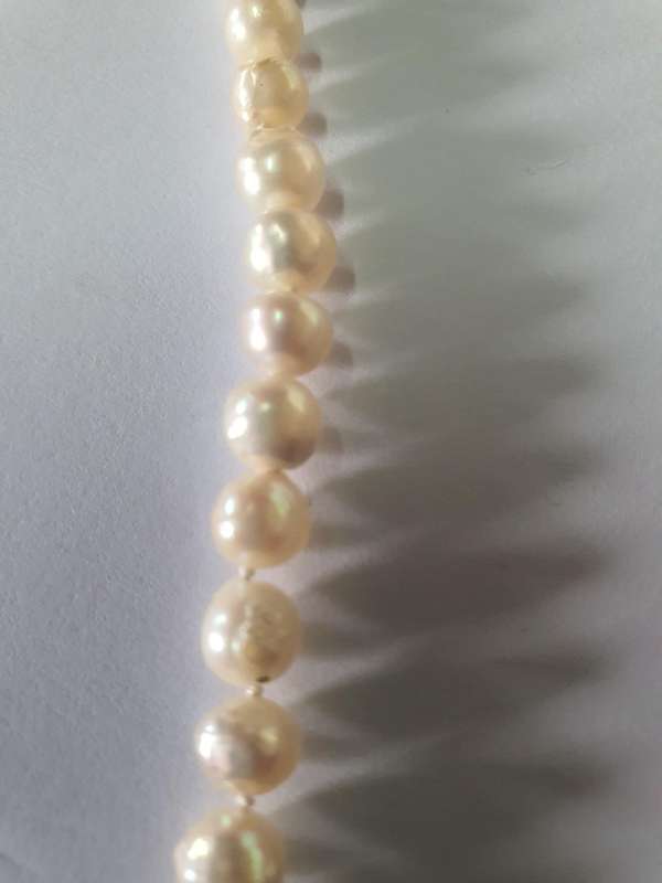 Antique Pearl Necklace in Sterling Silver, 48CM