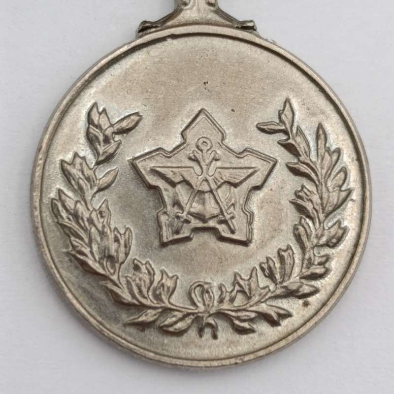SADF General service medal plus miniature #280143