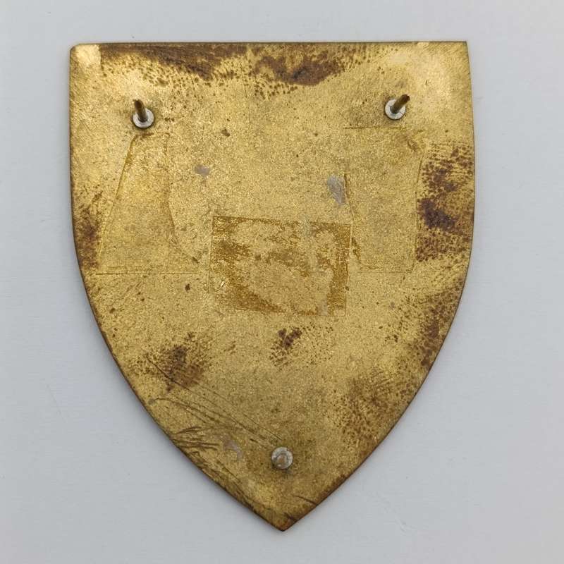 SADF Military Gymnasium shoulder flash