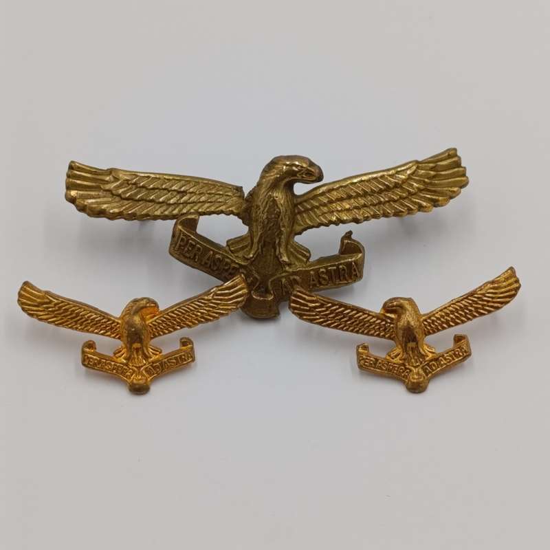 Set of SA Air Force cap and collar badges