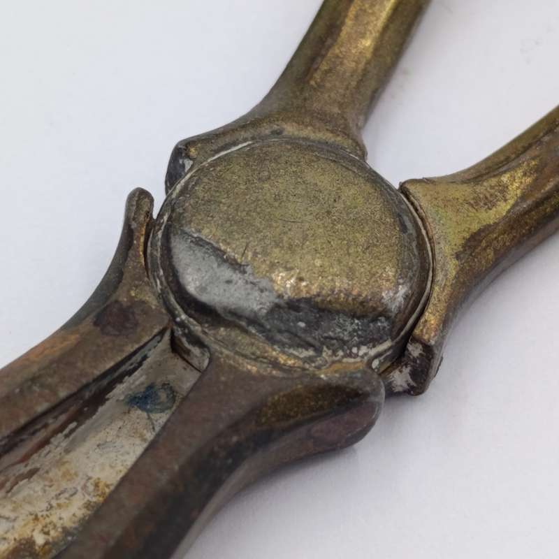 Antique silver plated grape shears