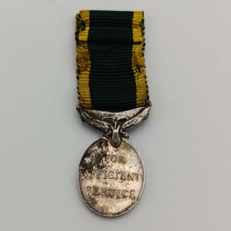 WW2 Efficiency medal miniature