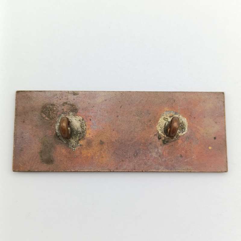 SA Railways Yard official badge
