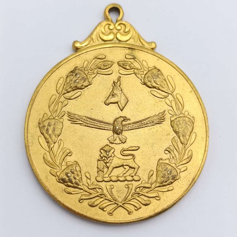 South African Defence Force medallion