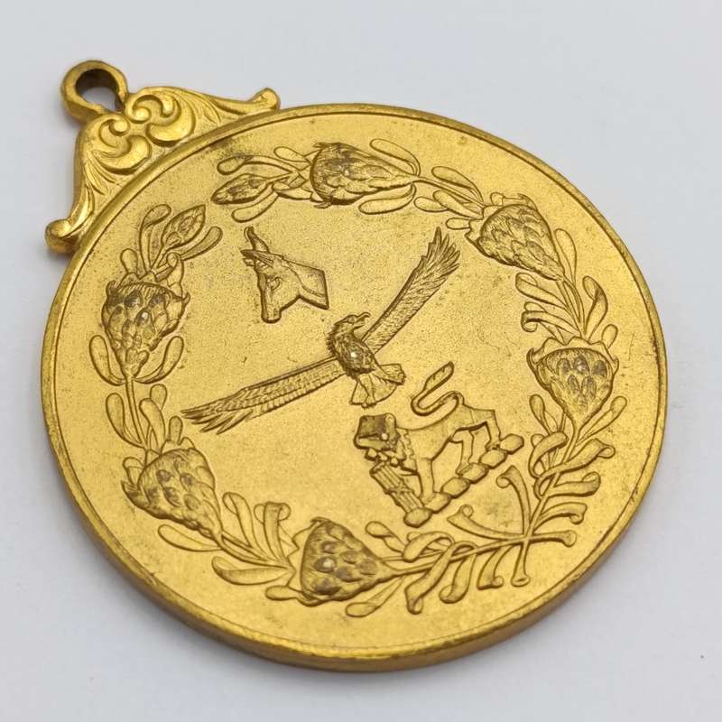 South African Defence Force medallion