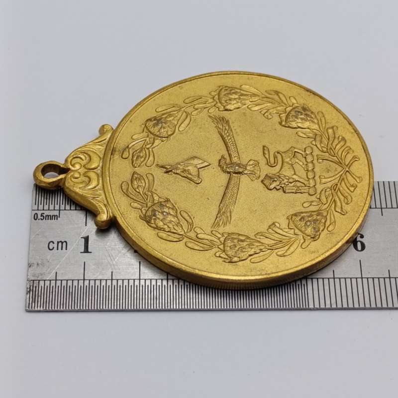 South African Defence Force medallion