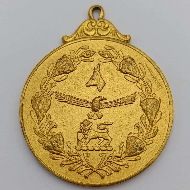 South African Defence Force medallion