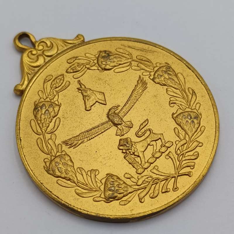 South African Defence Force medallion