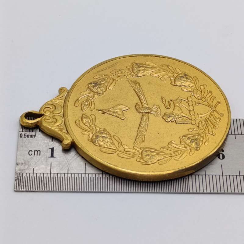 South African Defence Force medallion