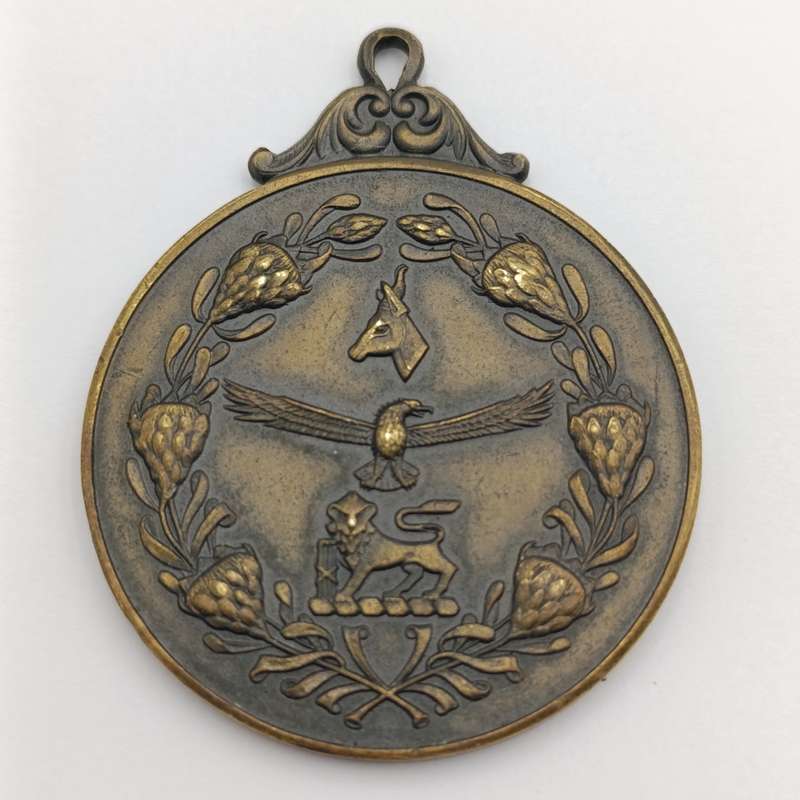 South African Defence Force medallion