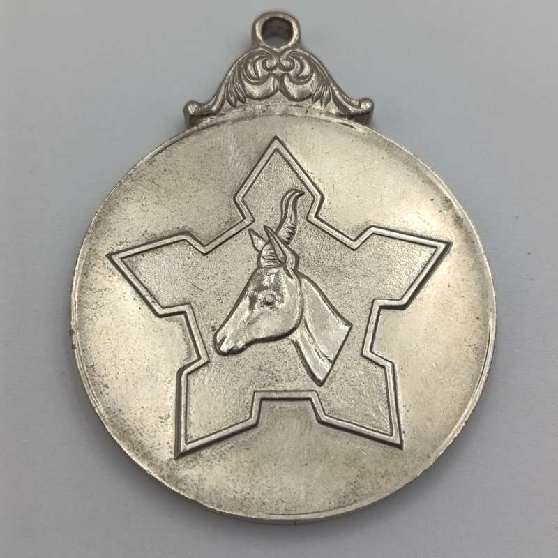 South African Defence Force medallion