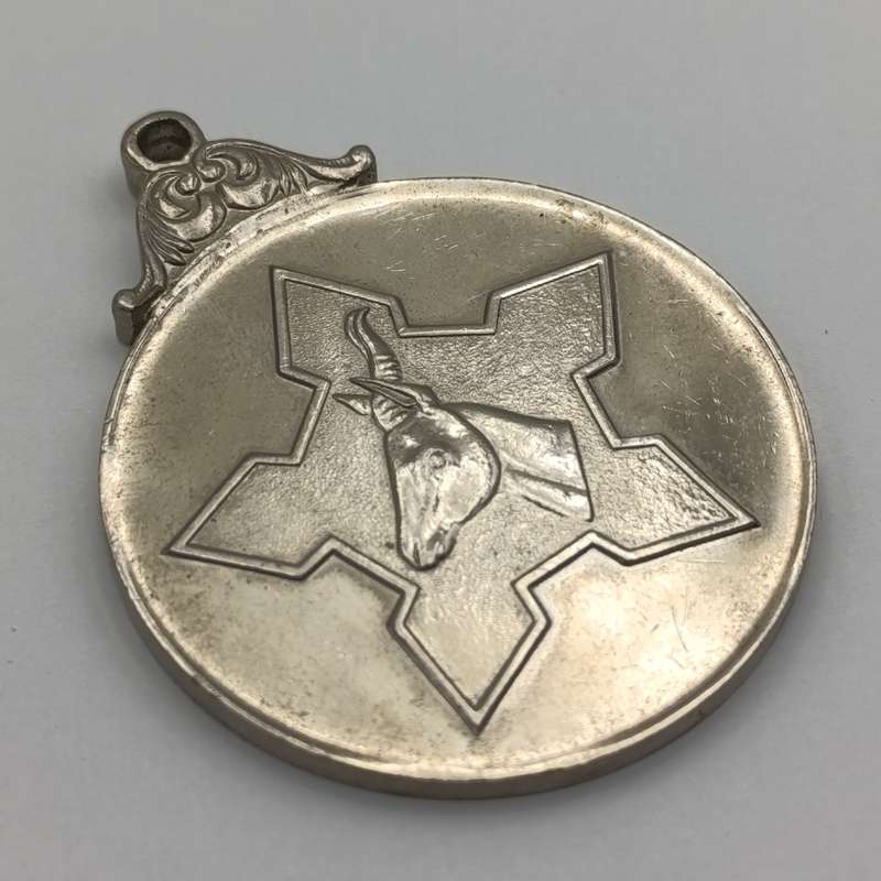 South African Defence Force medallion