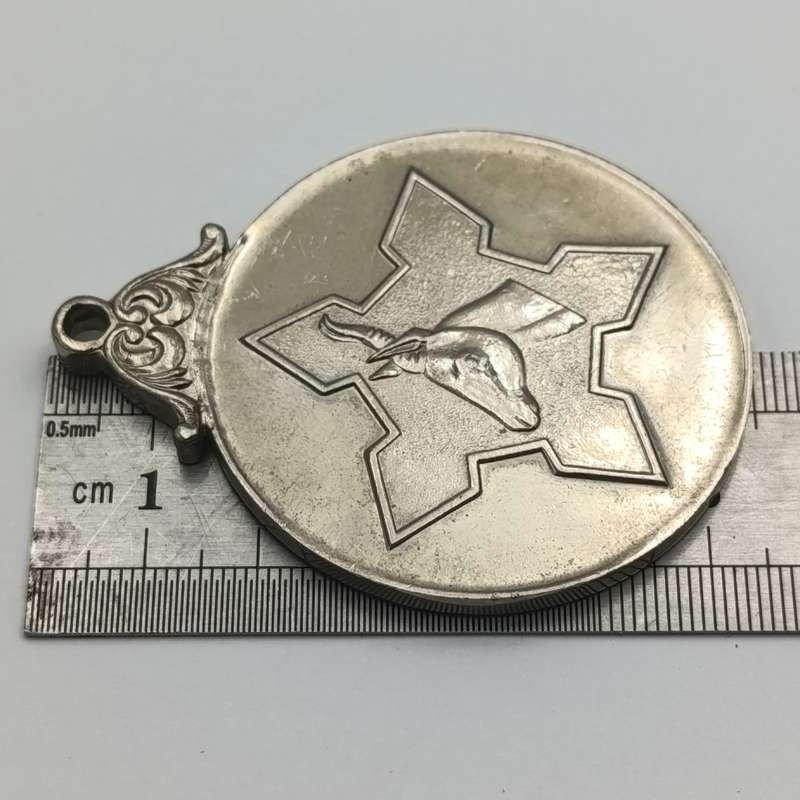 South African Defence Force medallion
