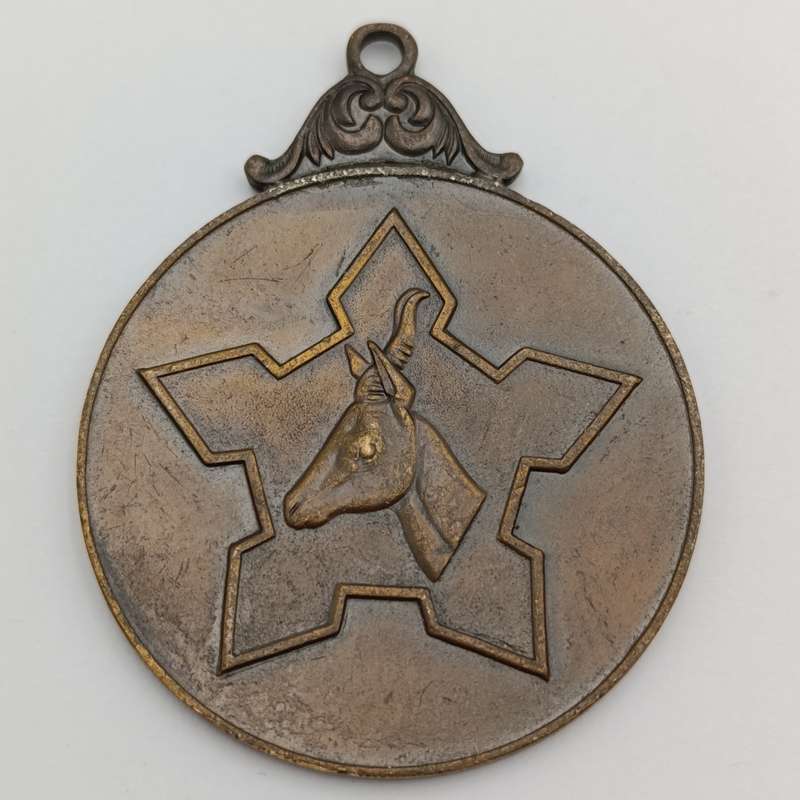 South Africa Defence medallion