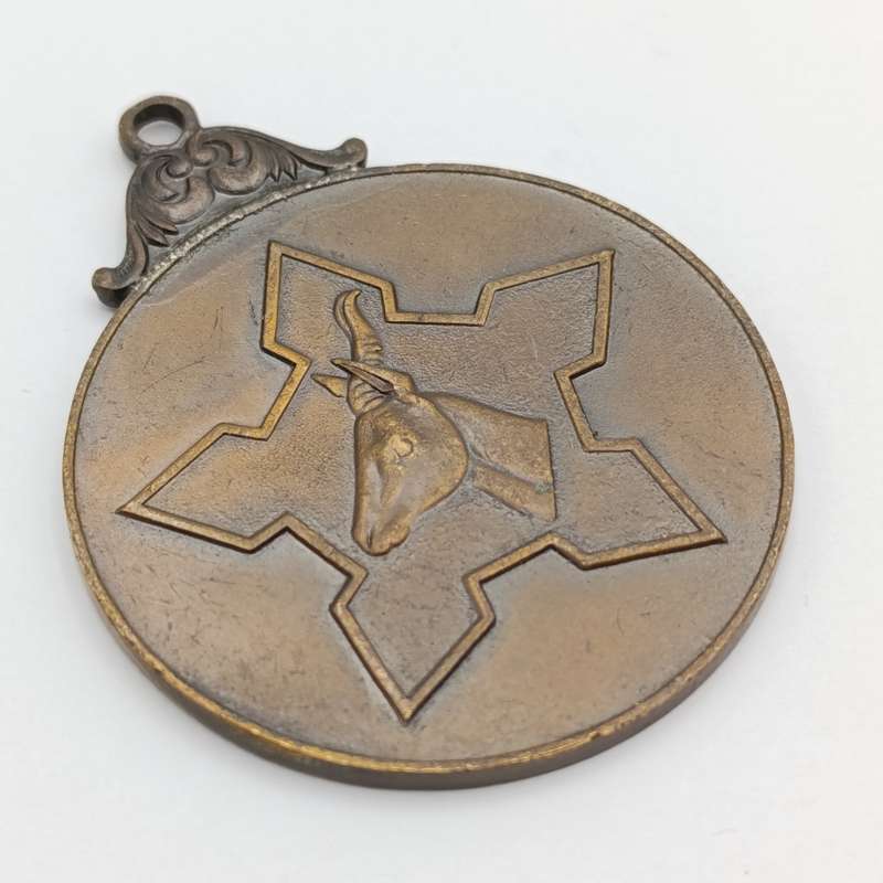 South Africa Defence medallion
