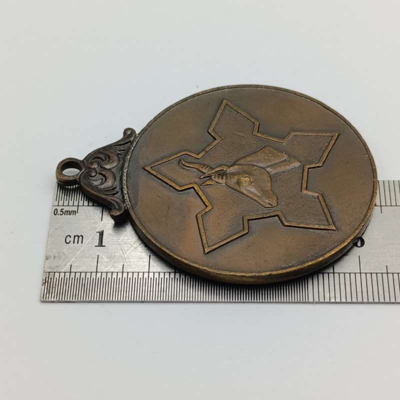South Africa Defence medallion